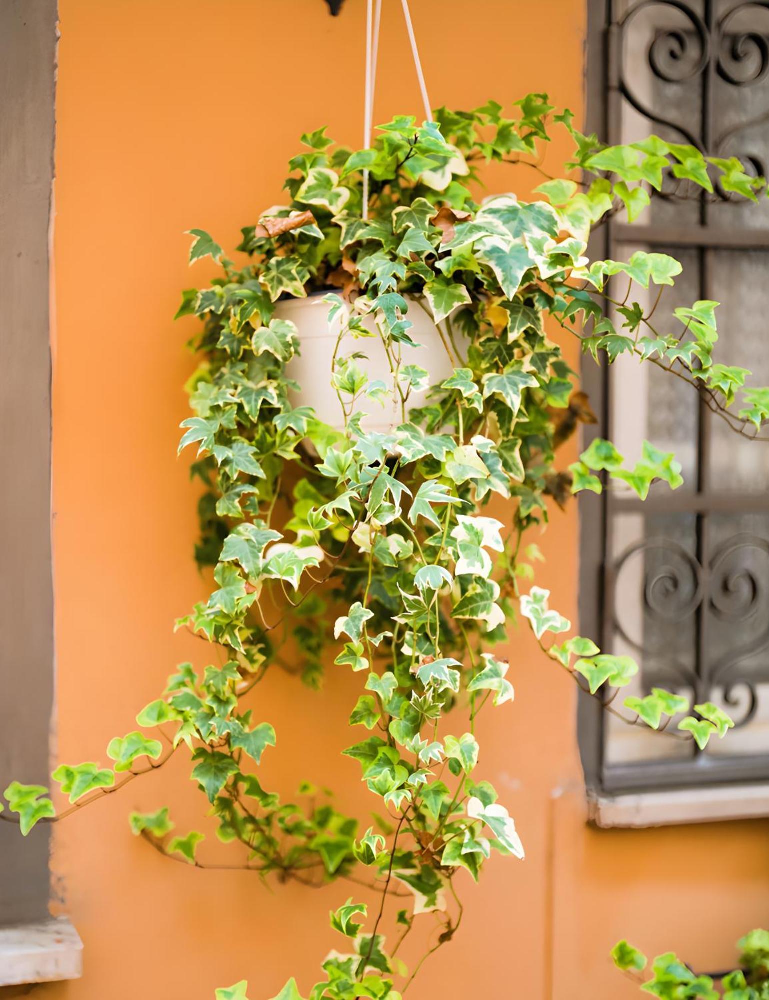 The Best Nest Rome Buitenkant foto